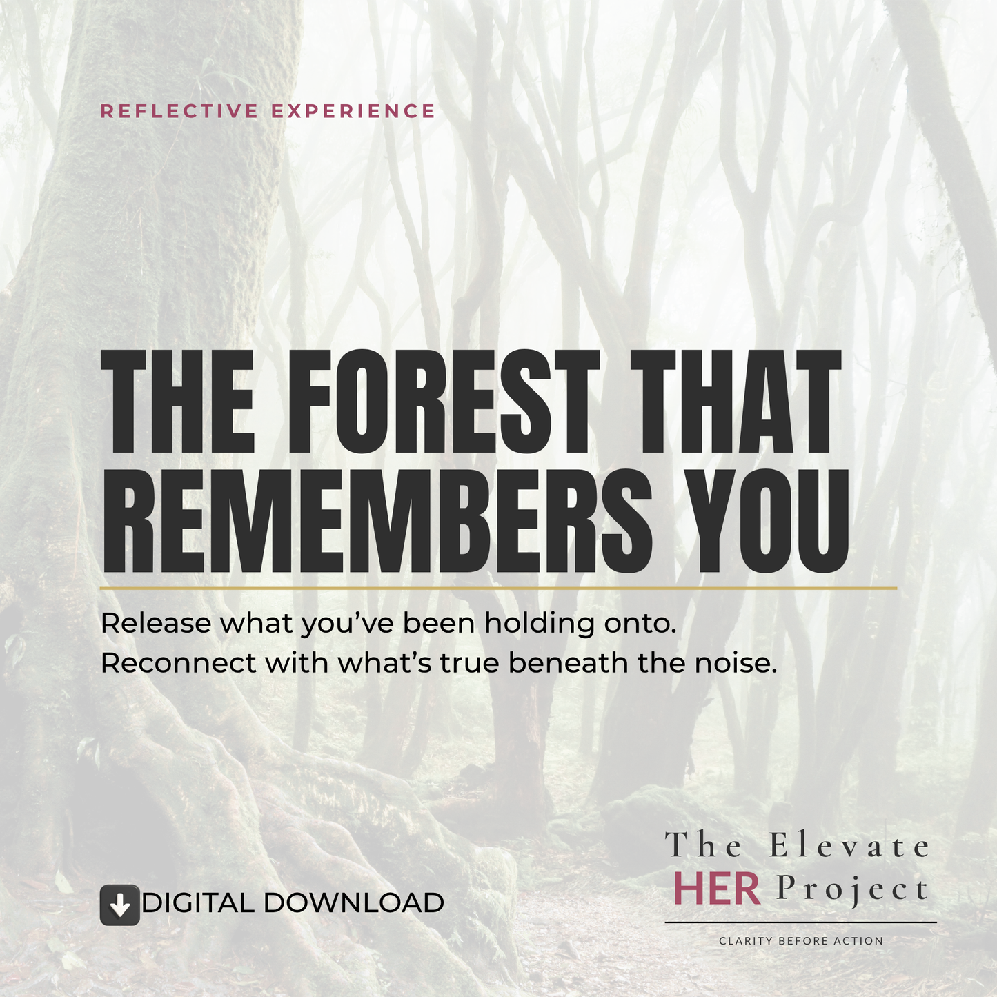 The Forest That Remembers You